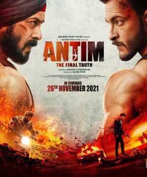 Antim: The Final Truth